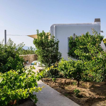 Live & Dream Villa Mykonos Town Ngoại thất bức ảnh