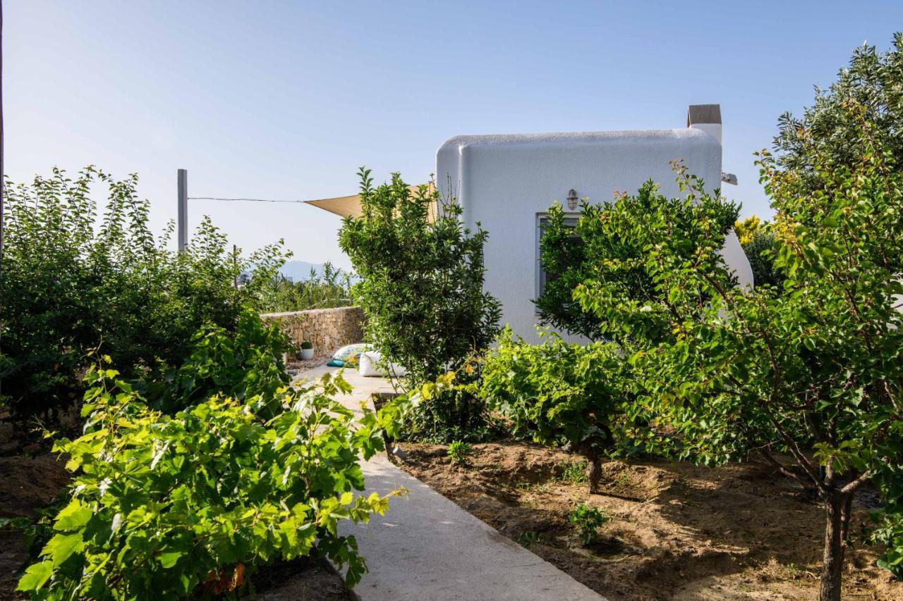 Live & Dream Villa Mykonos Town Ngoại thất bức ảnh